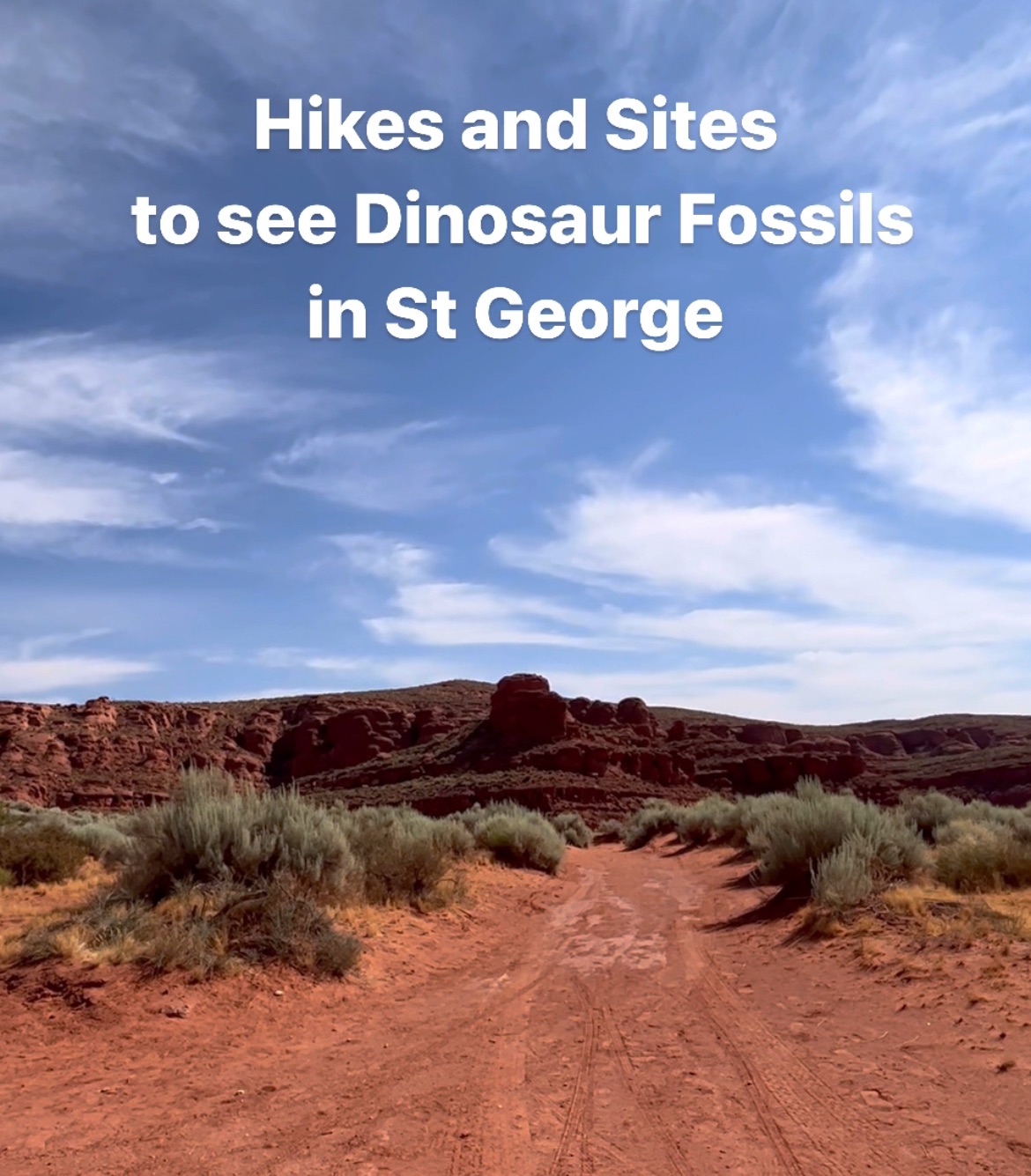 6 Places to Find Dinosaur Fossil in St George