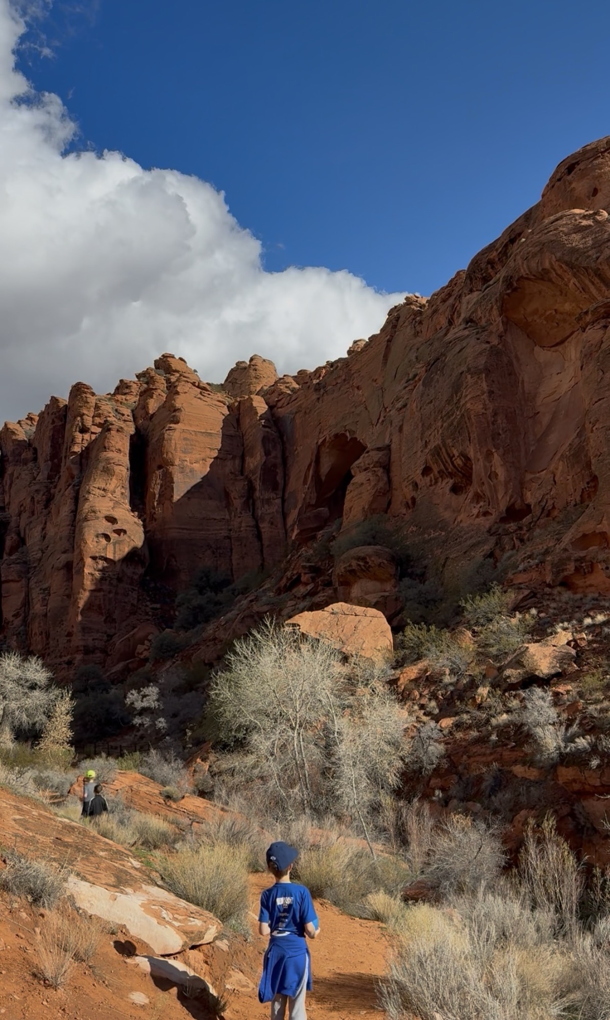 Johnson Canyon in Snow Canyon State Park